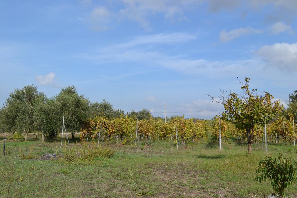 Villa La Scaletta Alghero Rum bild