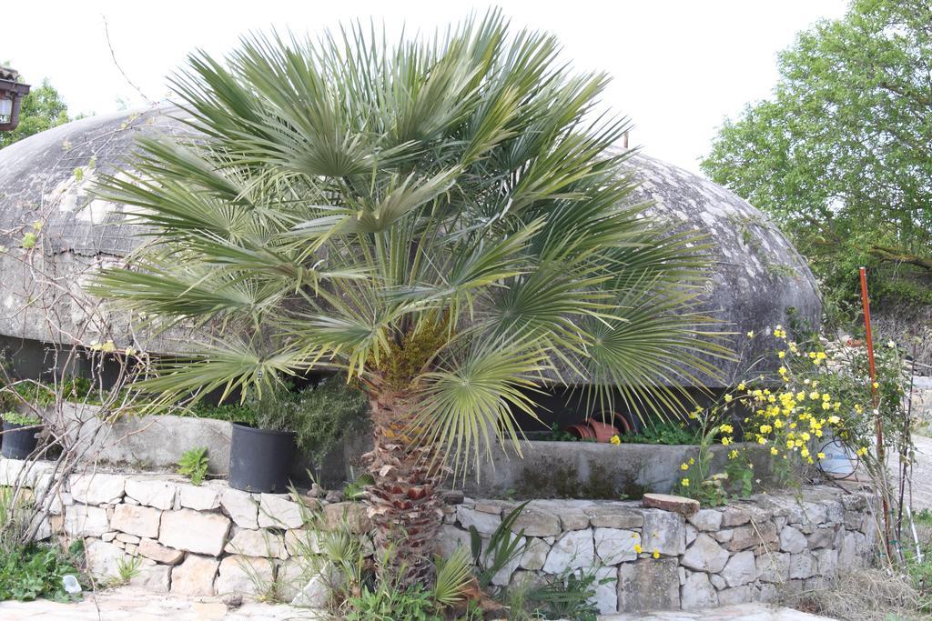 Villa La Scaletta Alghero Rum bild