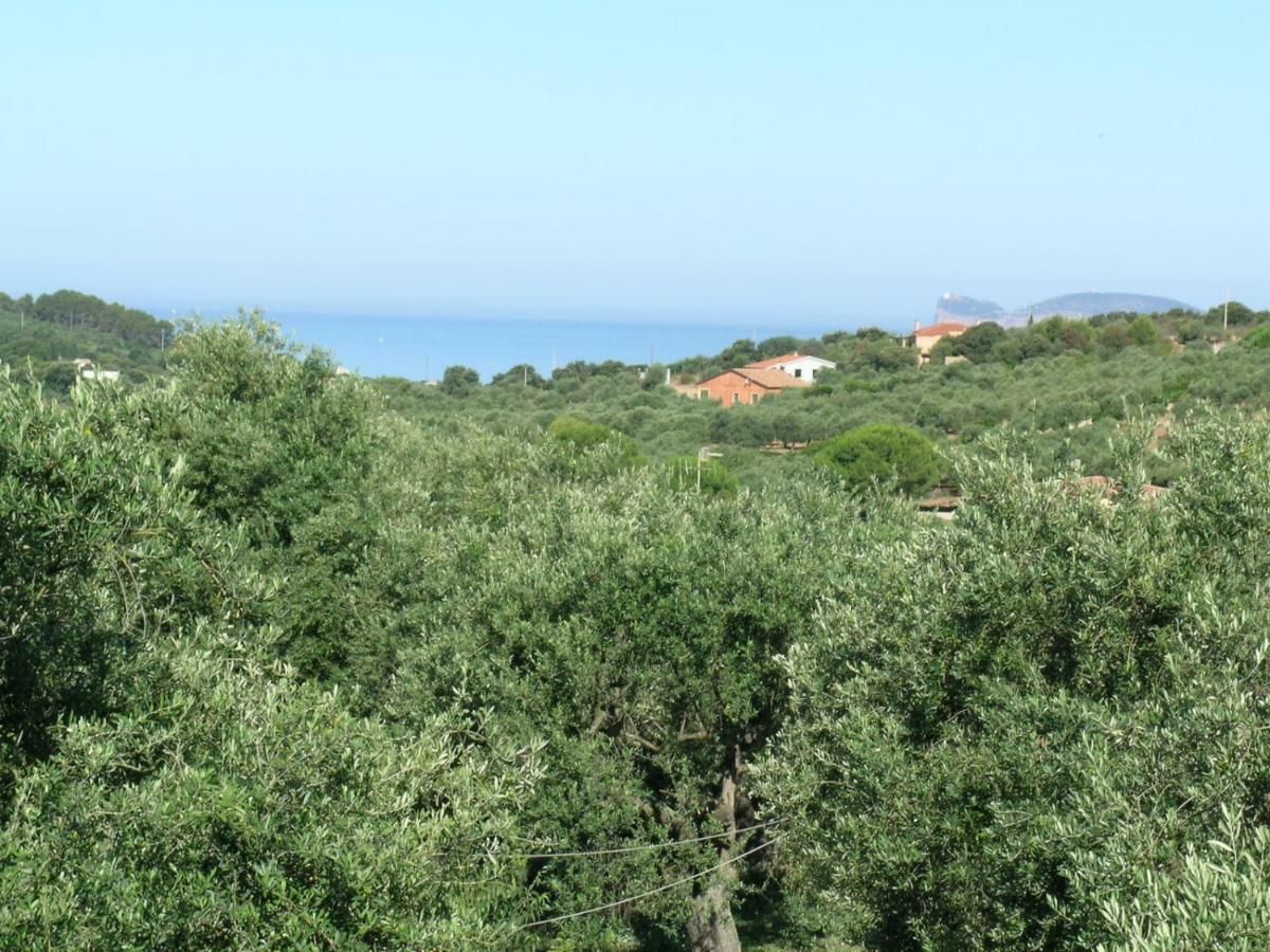 Villa La Scaletta Alghero Exteriör bild